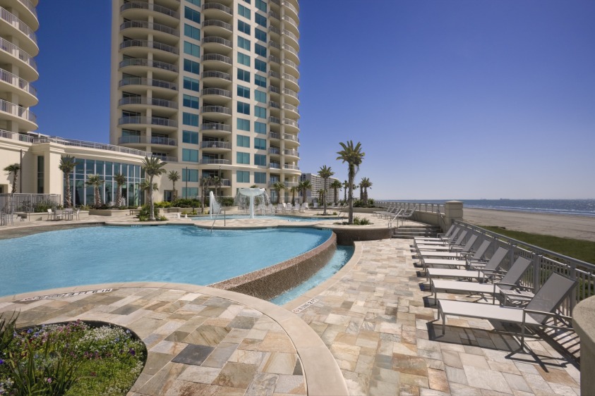 palisade palms